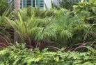 Geelong Westtropical-landscaping-2.jpg; ?>