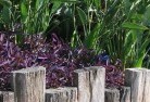 Geelong Westtropical-landscaping-3.jpg; ?>